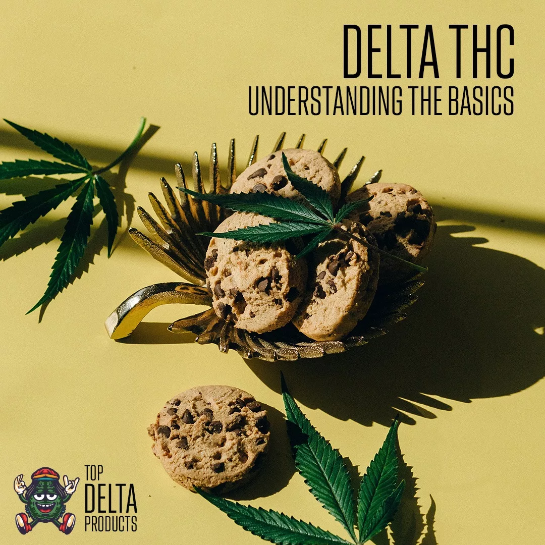 Delta THC Understanding the Basics