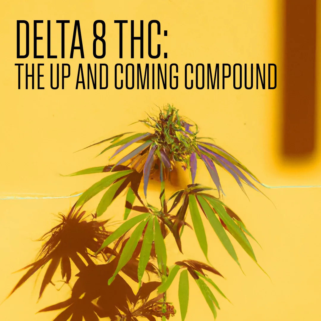 Delta 8 THC: The Up and Coming Compound