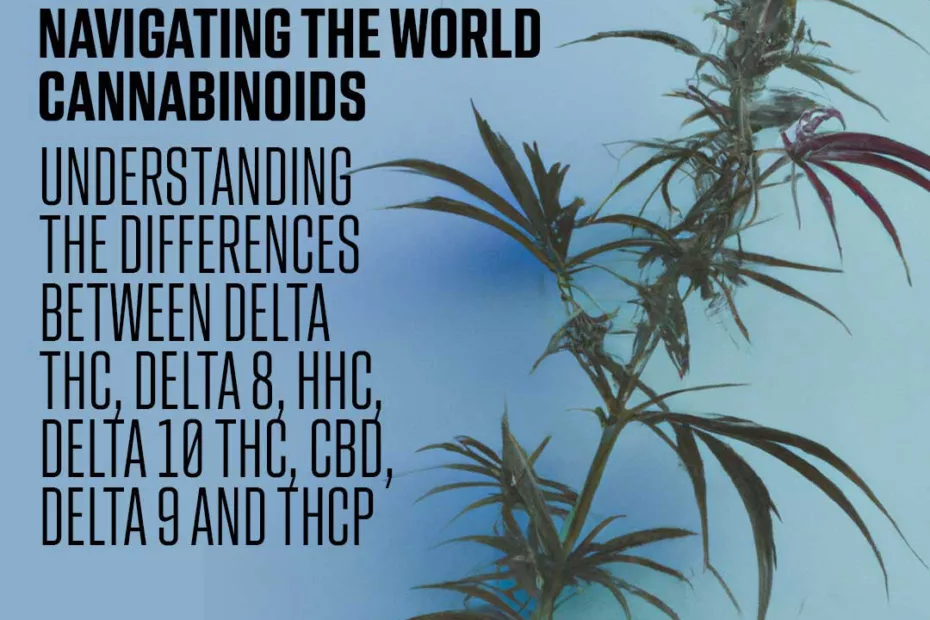 Navigating the World of Cannabinoids