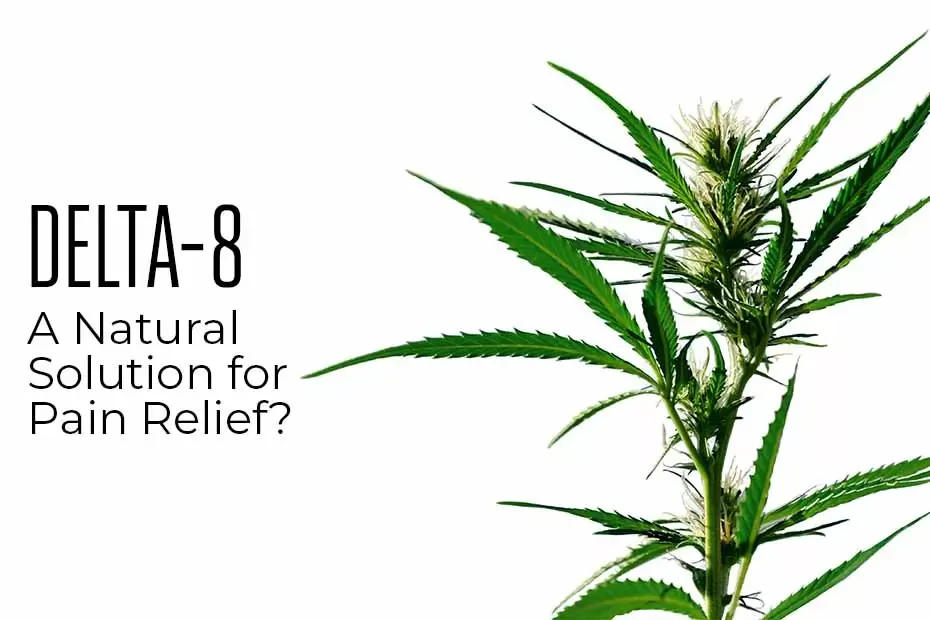 Delta-8 THC: A Natural Solution for Pain Relief