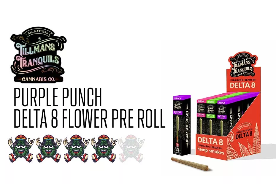 Purple Punch – Delta 8 Flower Pre Roll